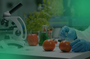 Food Safety Level 3 UK (RoSPA Assured)